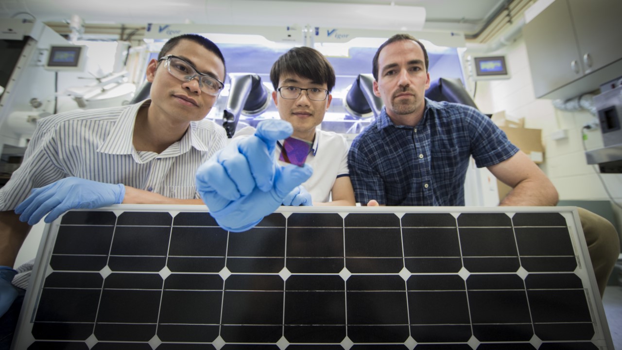 Perovskite Solar Cells & Modules
