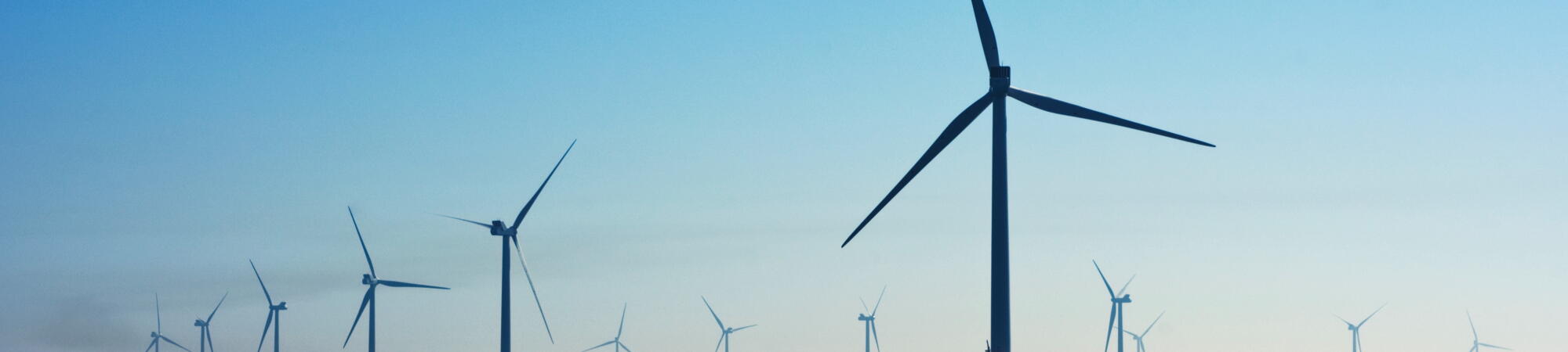 Photo by Nicholas Doherty on Unsplash